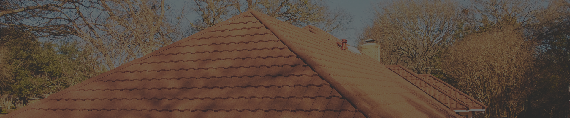 行業(yè)動態(tài)